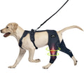 Dog ACL Knee Brace Support for Pets with CCL Cruciate Ligament Injuries - Keeps Knee Joints Warm and Stable Upgraded Adjustable Dogs Rear Leg Wrap Harness Set for Leg Wound Care Prevents Licking