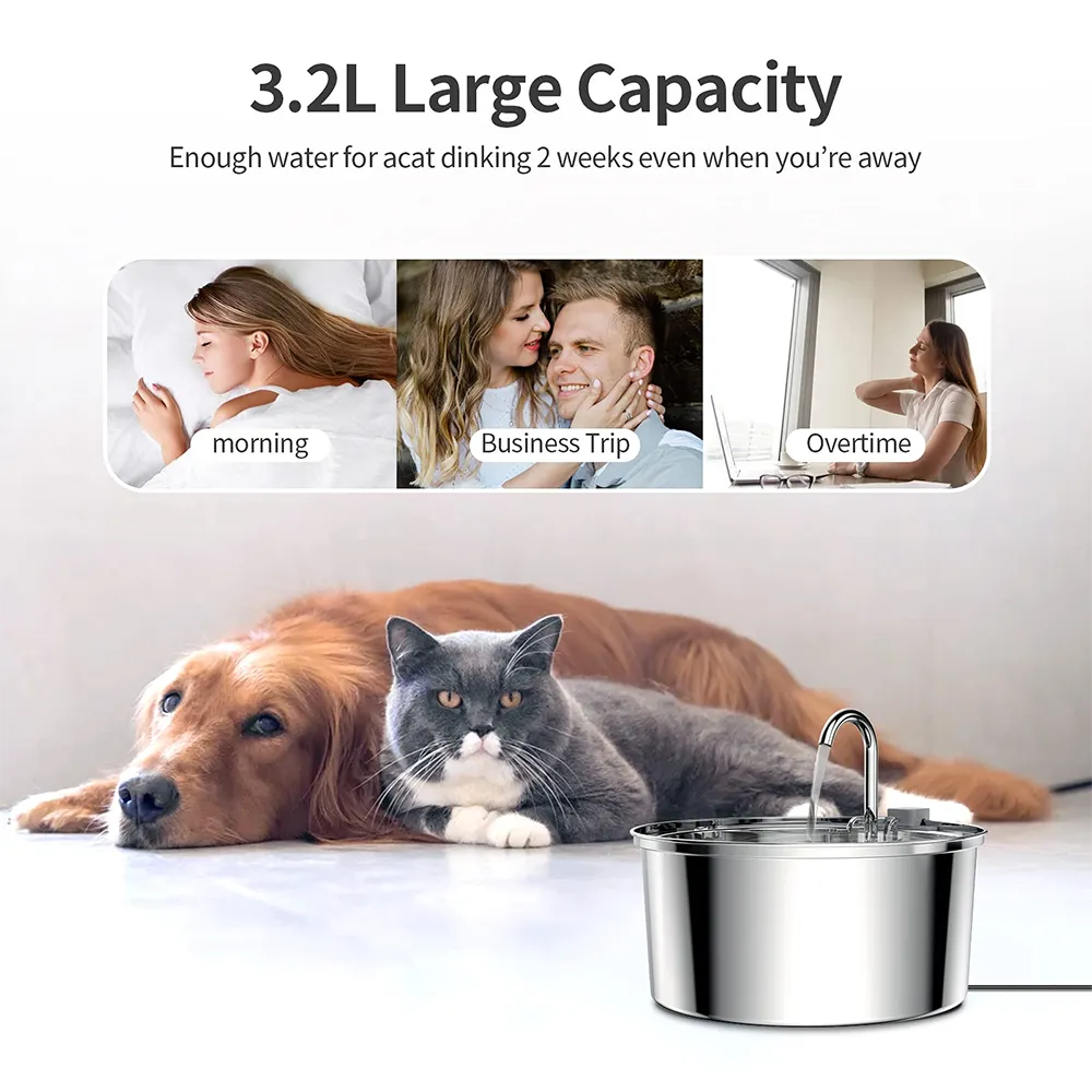 Cat Water Fountain（Private Listing U2827738）