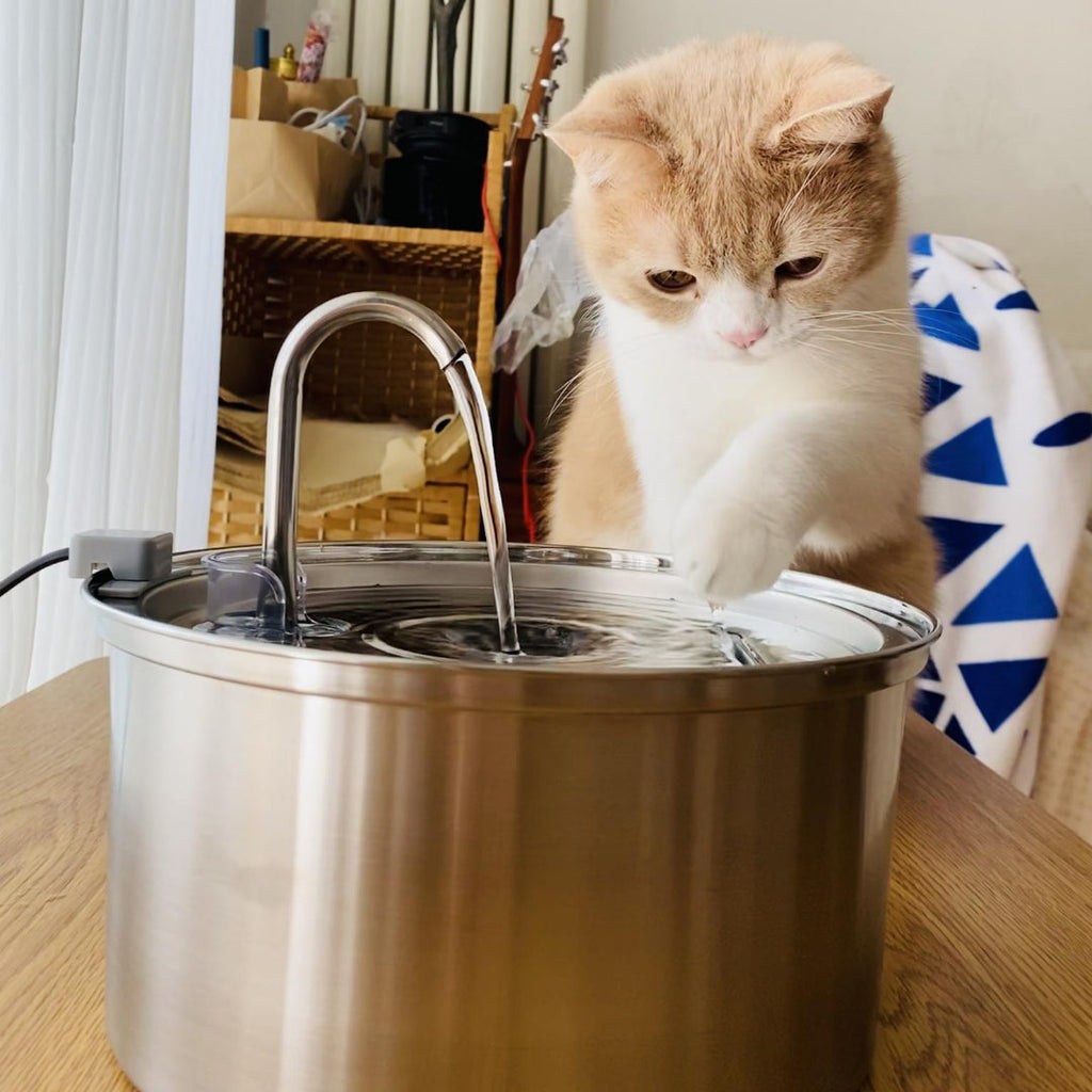 Cat Water Fountain（Private Listing U2827738）